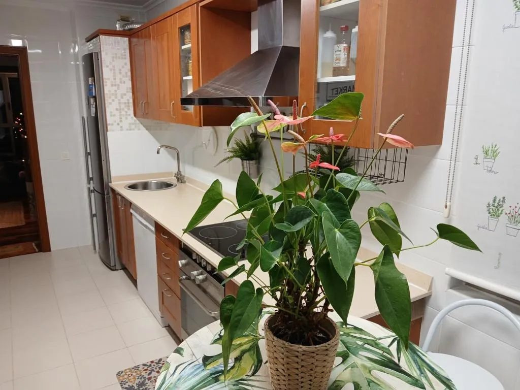 Cocina equipada con electrodomésticos y menaje